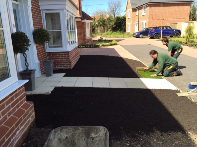 installing a new lawn and pathway